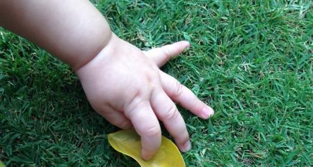 Baby Hand in grass